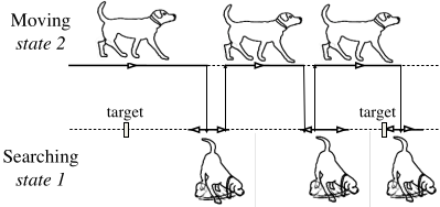 Dog Exploration