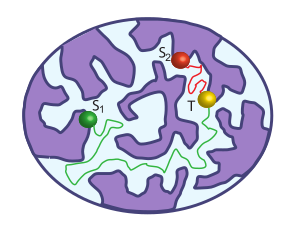 Nucleus