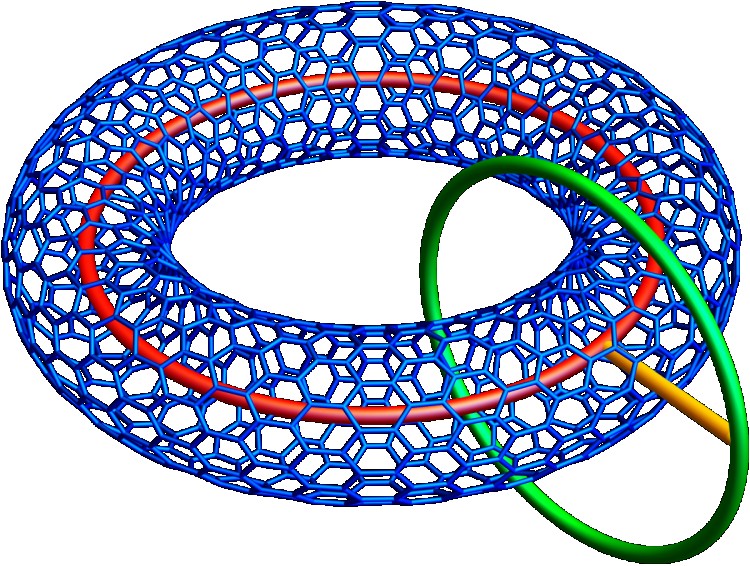 torus 1f