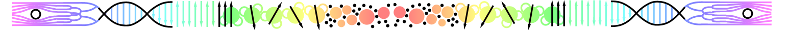 LPTMC