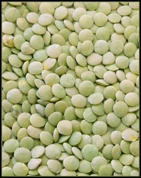 lentils